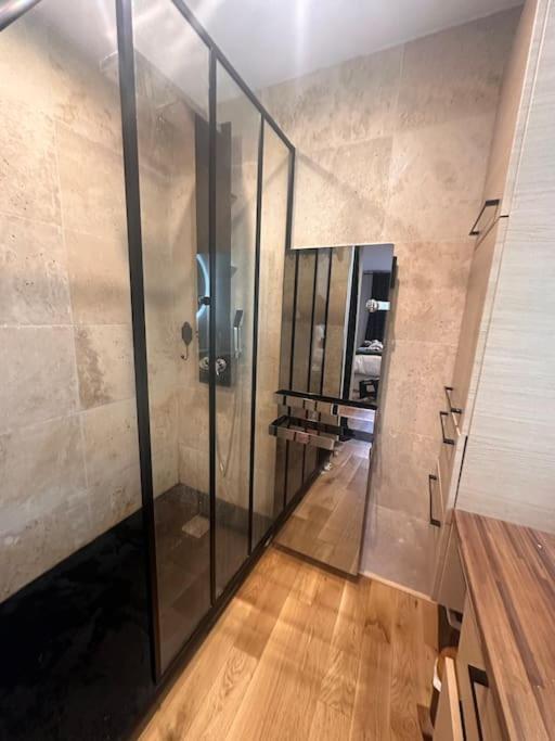 Apartament Jardin Des Plantes Parking Securise Terrasse Et Ascenseur Tuluza Zewnętrze zdjęcie