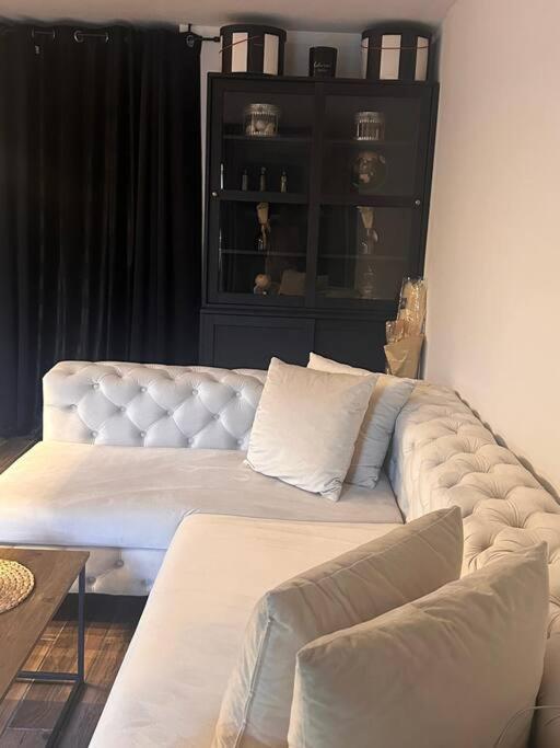 Apartament Jardin Des Plantes Parking Securise Terrasse Et Ascenseur Tuluza Zewnętrze zdjęcie