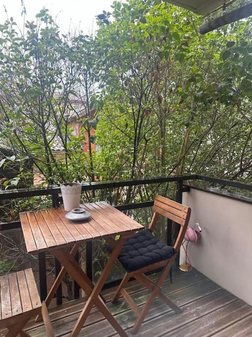 Apartament Jardin Des Plantes Parking Securise Terrasse Et Ascenseur Tuluza Zewnętrze zdjęcie