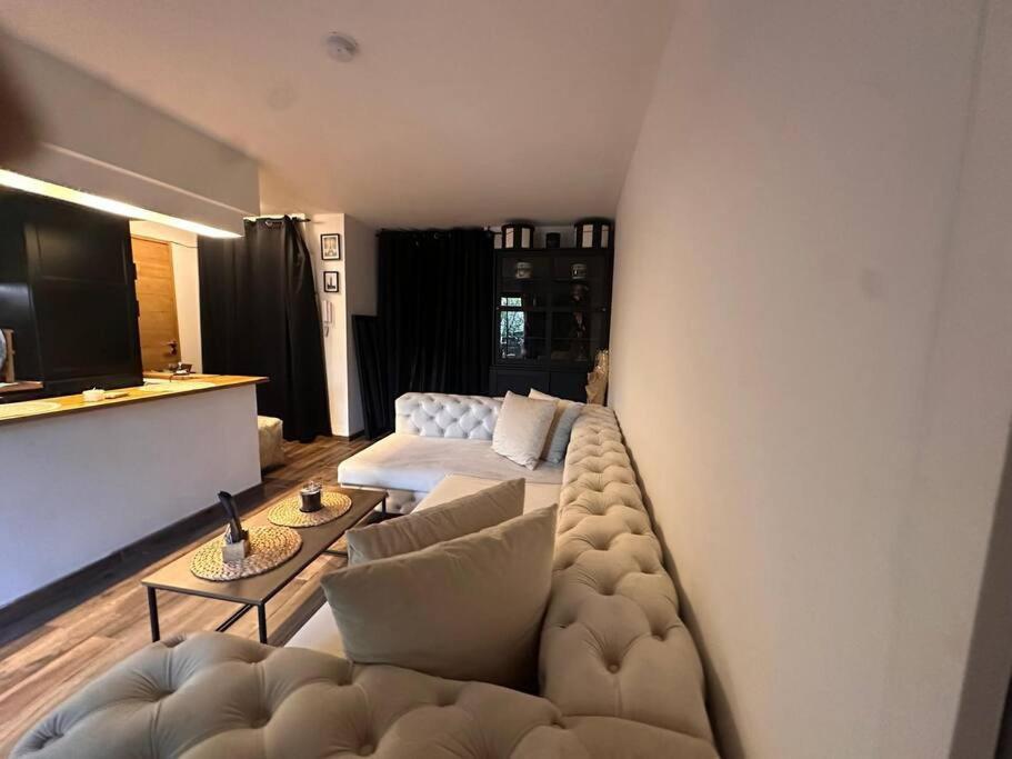 Apartament Jardin Des Plantes Parking Securise Terrasse Et Ascenseur Tuluza Zewnętrze zdjęcie