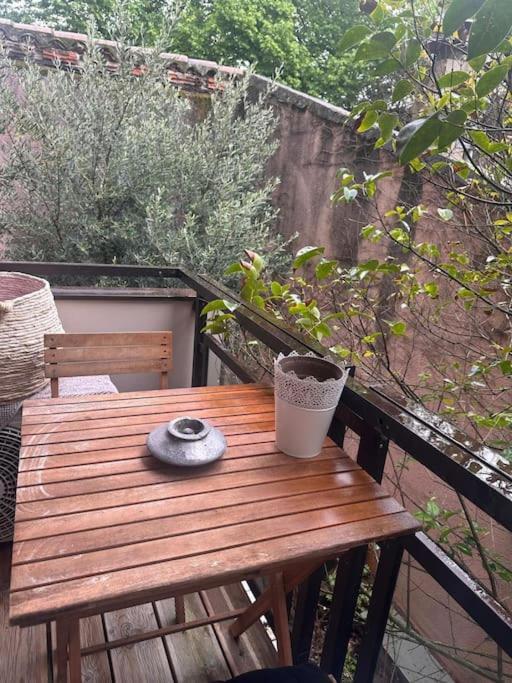 Apartament Jardin Des Plantes Parking Securise Terrasse Et Ascenseur Tuluza Zewnętrze zdjęcie